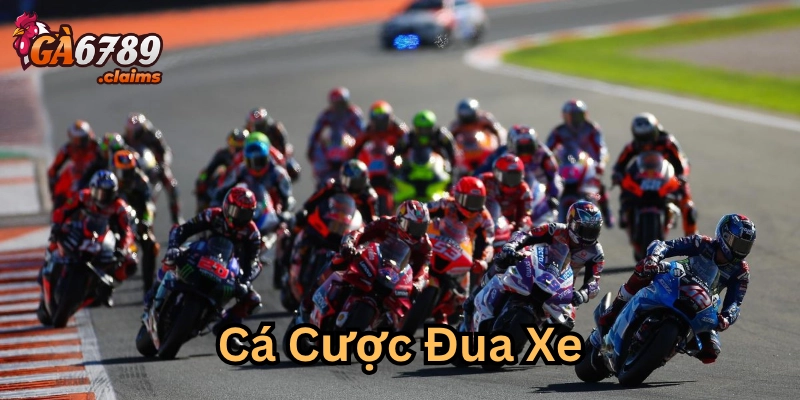 Top 5 Chiến Thuật Cá Cược Đua Xe Hiệu Quả Nhất Năm 2025