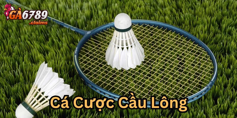 Các loại kèo phổ biến