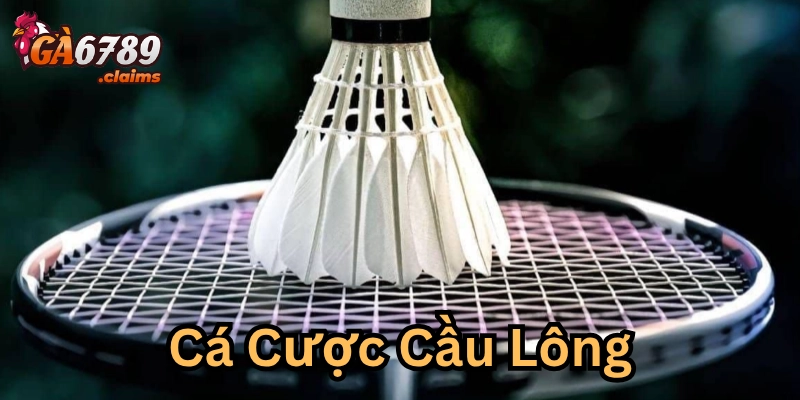 Chọn đúng sân chơi và cách quản lý