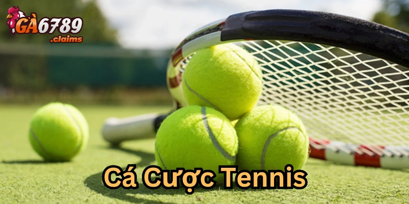 Dân cược chuyên nghiệp có tư duy gì?