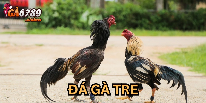 Tìm hiểu chi tiết luật chơi