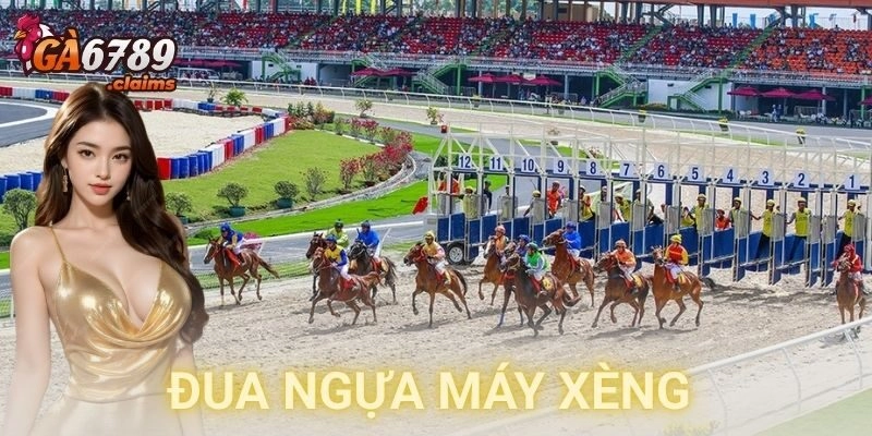 Đua ngựa máy xèng là gì và vì sao anh em mê mẩn?